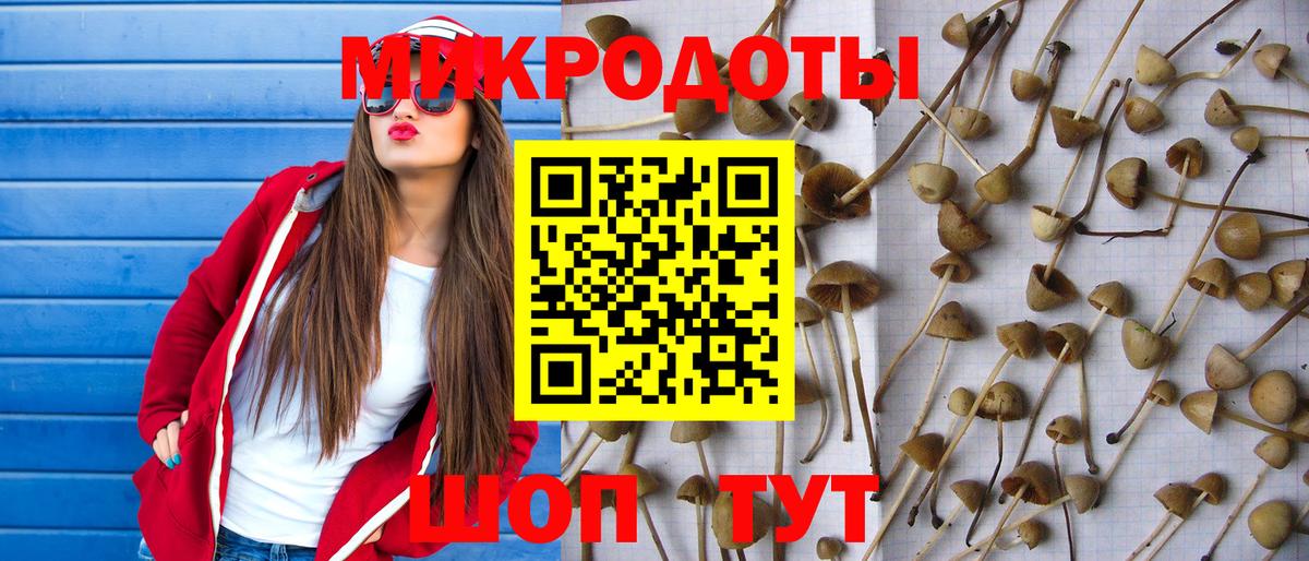Псилоцибиновые грибы Magic Shrooms  Вход с VPN  Бийск 